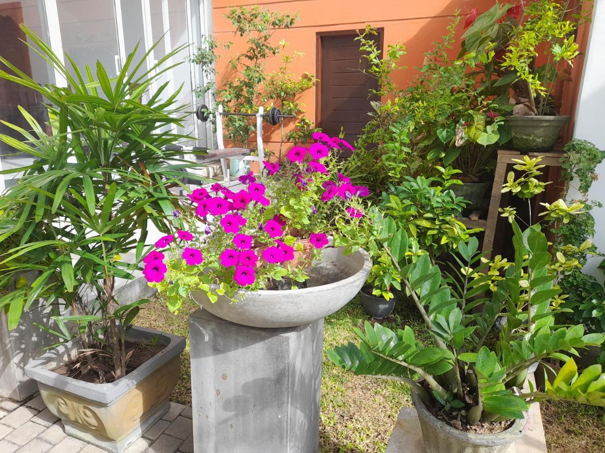 Hotel Marine At Negombo Beach Zewnętrze zdjęcie